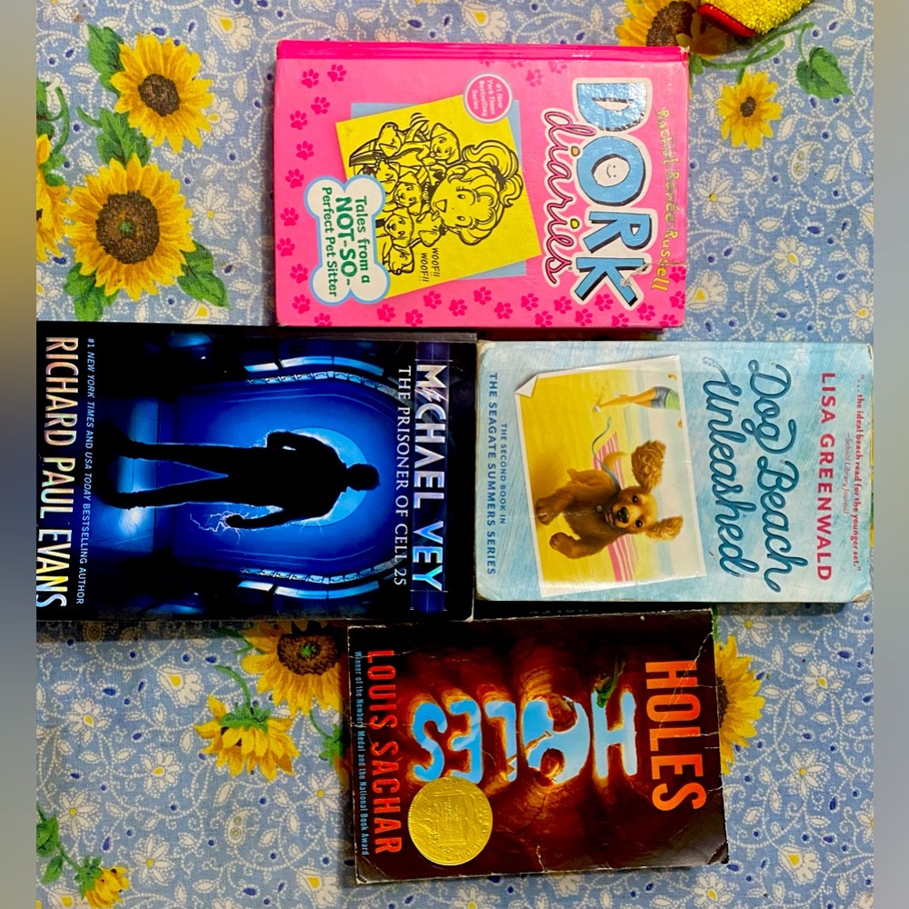5 books, dork diaries, Michael vey, Dog Beach unleashed, and holes